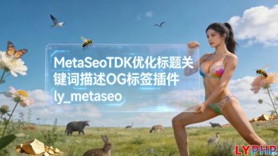 MetaSeoTDK优化标题关键词描述OG标签插件图片