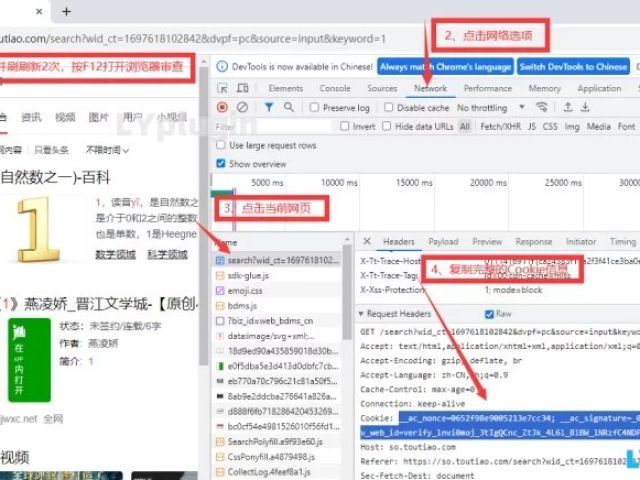 浏览器审查提取cookie教程,以头条搜索为例