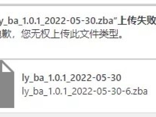 修改增加WP上传文件类型上传失败的问题
