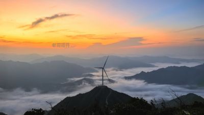 孤独的三叶风扇图片