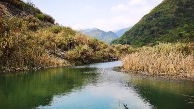 钓鱼的风景图片