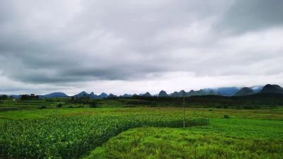 我要出去走一走图片