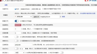 文章关键词内链SEO插件图片