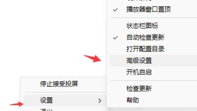 Macast手机投屏电脑自定义最新mpv播放器MpvPlayer Renderer插件图片