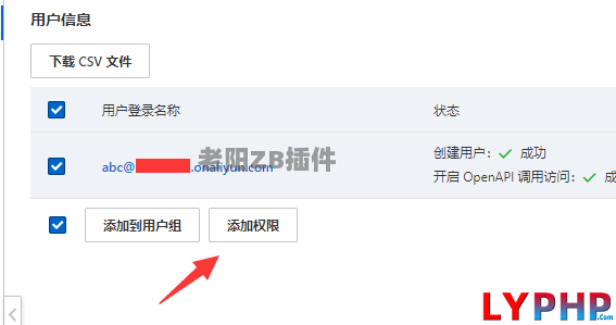 4、阿里云使用 RAM 创建用户 AccessKey 设置权限说明 - 老阳插件