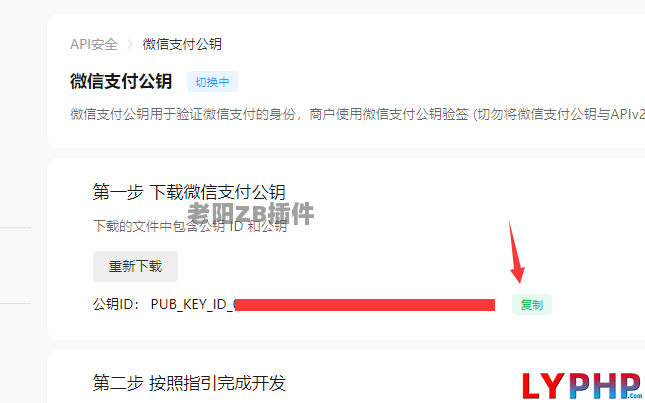 8、收银台,微信支付的微信公众号设置信息 - 老阳插件