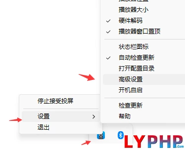 老阳插件Macast手机投屏电脑自定义最新mpv播放器MpvPlayer Renderer插件图片 | 老阳插件